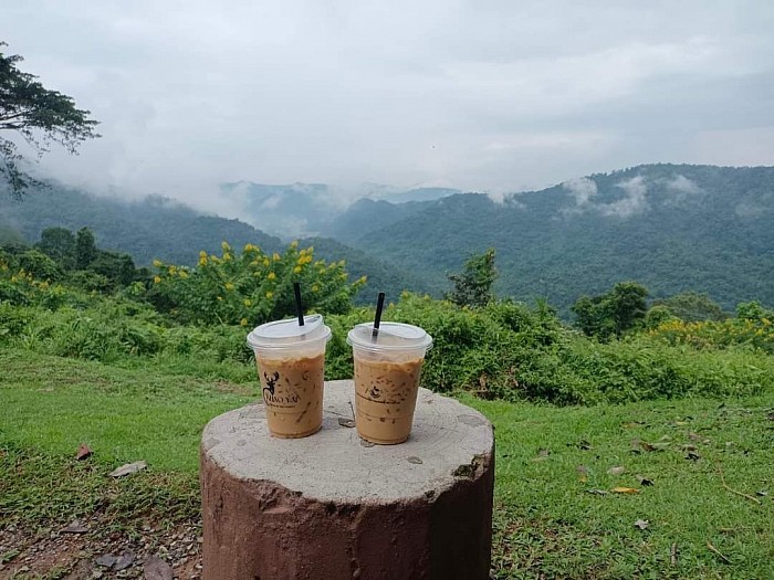 แวะพักกินกาแฟรับไอหมอก