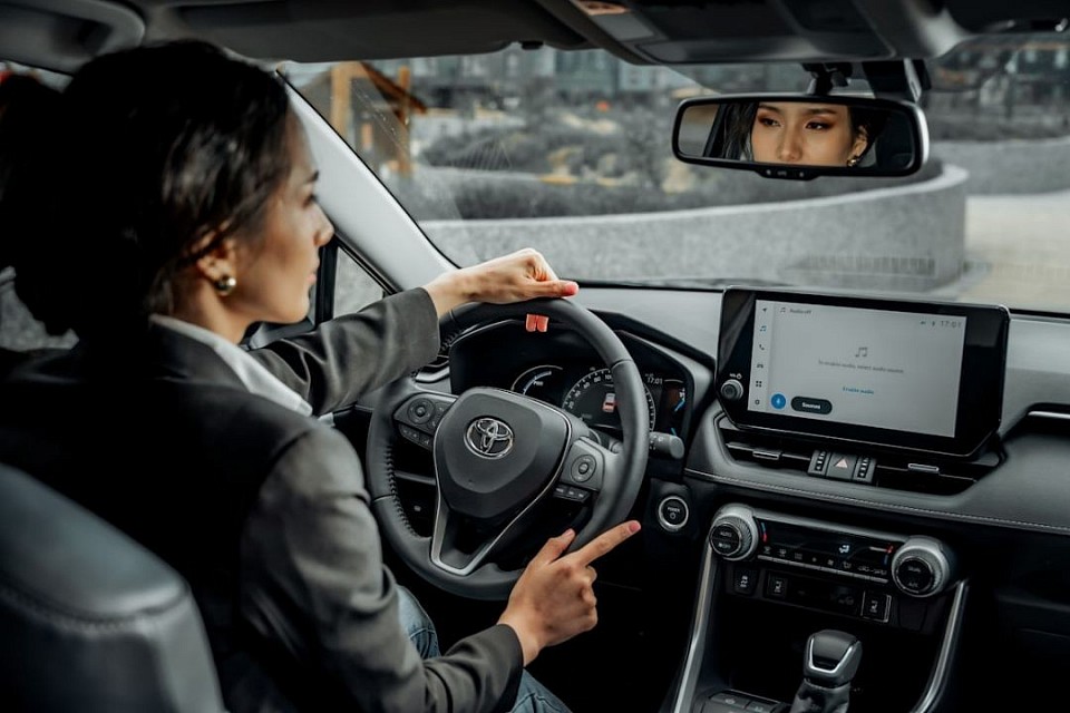 Taxi lady driver
